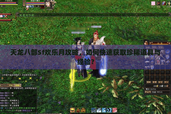 天龙八部Sf欢乐月攻略，如何快速获取珍稀道具与经验？