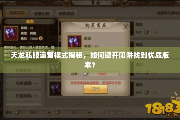 天龙私服运营模式揭秘，如何避开陷阱找到优质版本？