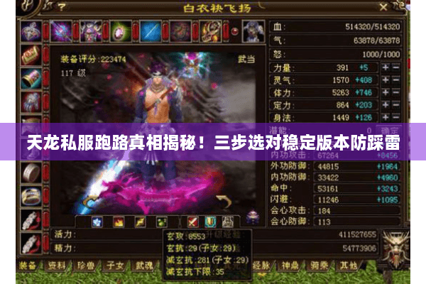 天龙私服跑路真相揭秘!三步选对稳定版本防踩雷 天龙私服跑路真相揭秘!三步选对稳定版本防踩雷