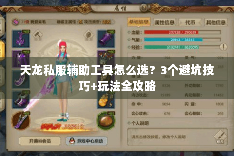 天龙私服辅助工具怎么选?3个避坑技巧+玩法全攻略 天龙私服辅助工具怎么选?3个避坑技巧+玩法全攻略