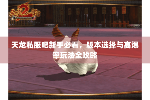 天龙私服吧新手必看，版本选择与高爆率玩法全攻略