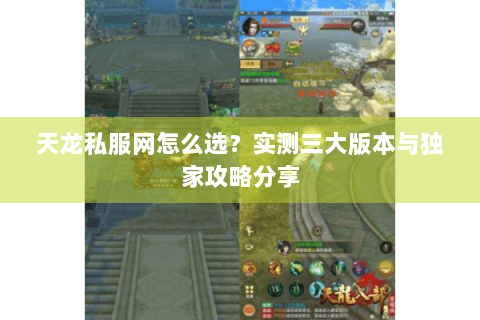 天龙私服网怎么选?实测三大版本与独家攻略分享 天龙私服网怎么选?实测三大版本与独家攻略分享