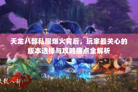 天龙八部私服爆火背后,玩家最关心的版本选择与攻略痛点全解析 天龙八部私服爆火背后,玩家最关心的版本选择与攻略痛点全解析