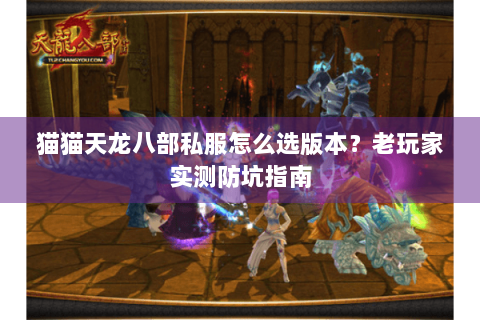猫猫天龙八部私服怎么选版本？老玩家实测防坑指南
