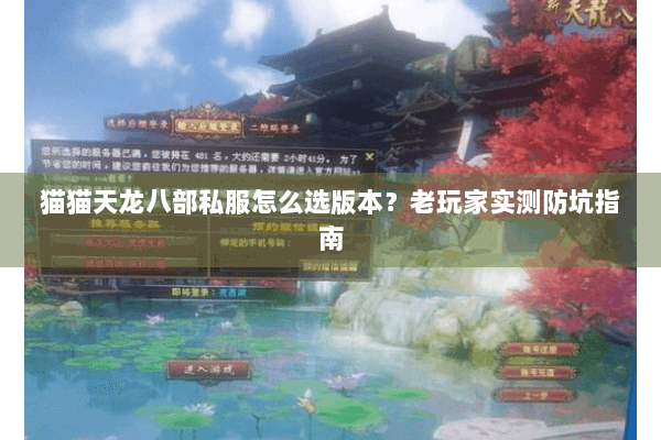 猫猫天龙八部私服怎么选版本？老玩家实测防坑指南