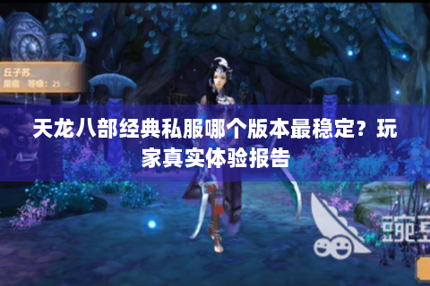 天龙八部经典私服哪个版本最稳定?玩家真实体验报告 天龙八部经典私服哪个版本最稳定?玩家真实体验报告