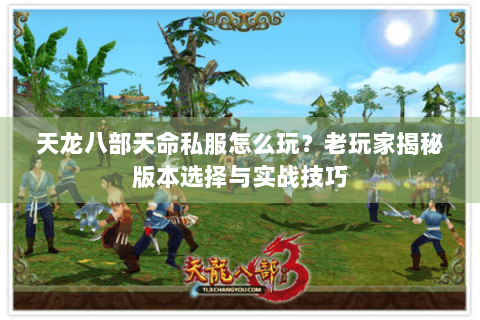 天龙八部天命私服怎么玩？老玩家揭秘版本选择与实战技巧