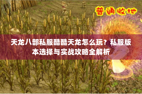 天龙八部私服酷酷天龙怎么玩?私服版本选择与实战攻略全解析 天龙八部私服酷酷天龙怎么玩?私服版本选择与实战攻略全解析