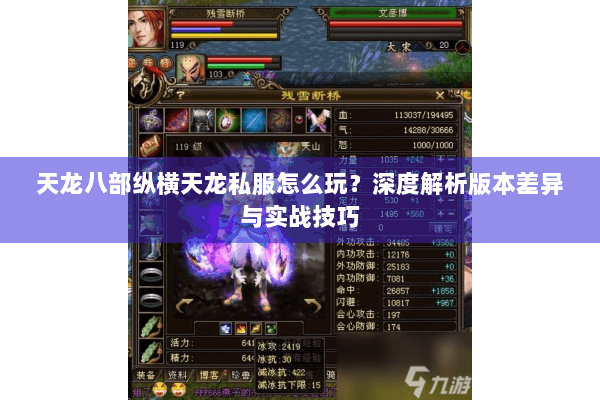 天龙八部纵横天龙私服怎么玩?深度解析版本差异与实战技巧 天龙八部纵横天龙私服怎么玩?深度解析版本差异与实战技巧