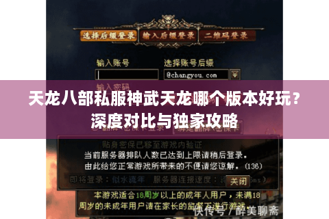 天龙八部私服神武天龙哪个版本好玩？深度对比与独家攻略