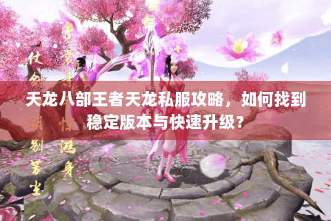 天龙八部王者天龙私服攻略，如何找到稳定版本与快速升级？