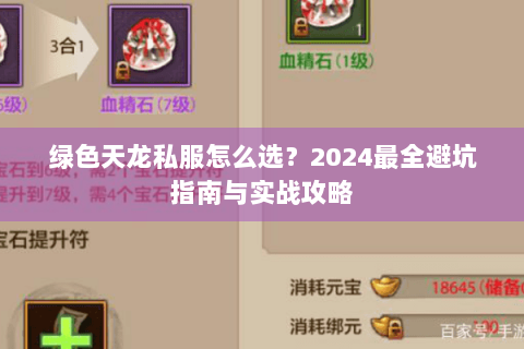绿色天龙私服怎么选？2024最全避坑指南与实战攻略