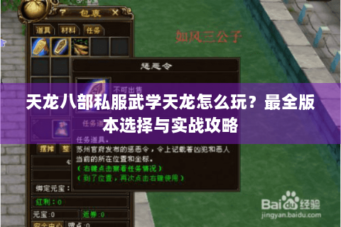 天龙八部私服武学天龙怎么玩？最全版本选择与实战攻略