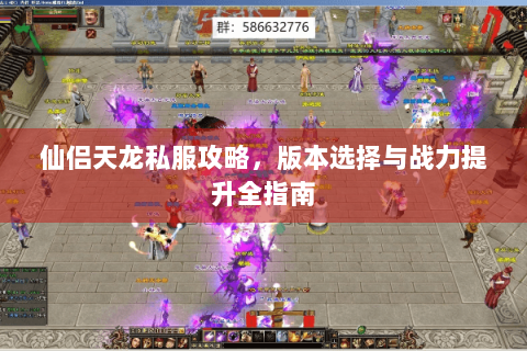 仙侣天龙私服攻略，版本选择与战力提升全指南