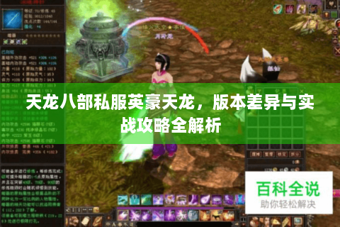 天龙八部私服英豪天龙，版本差异与实战攻略全解析