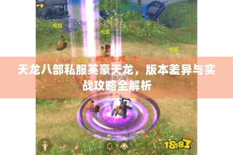 天龙八部私服英豪天龙，版本差异与实战攻略全解析