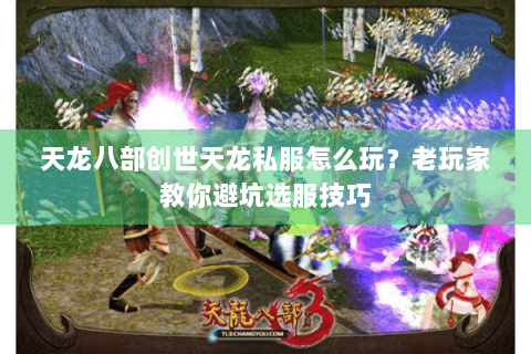 天龙八部创世天龙私服怎么玩?老玩家教你避坑选服技巧 天龙八部创世天龙私服怎么玩?老玩家教你避坑选服技巧