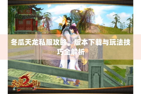 冬瓜天龙私服攻略，版本下载与玩法技巧全解析