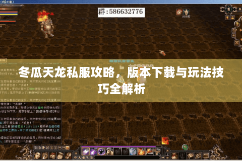 冬瓜天龙私服攻略，版本下载与玩法技巧全解析