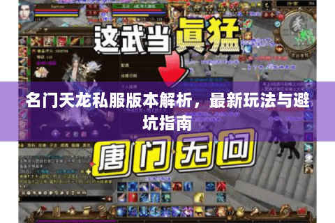 名门天龙私服版本解析，最新玩法与避坑指南
