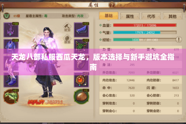 天龙八部私服西瓜天龙,版本选择与新手避坑全指南 天龙八部私服西瓜天龙,版本选择与新手避坑全指南