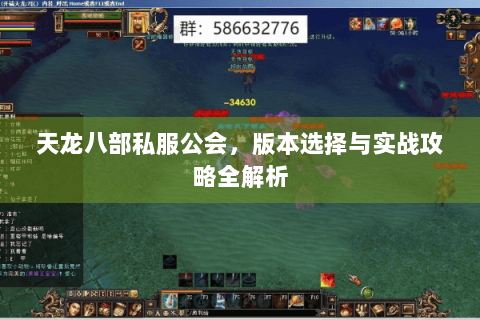 天龙八部私服公会，版本选择与实战攻略全解析