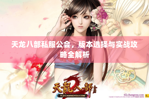 天龙八部私服公会，版本选择与实战攻略全解析