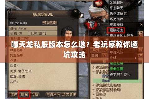 嘟天龙私服版本怎么选？老玩家教你避坑攻略