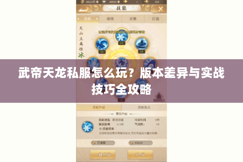 武帝天龙私服怎么玩？版本差异与实战技巧全攻略