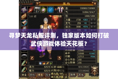 寻梦天龙私服评测，独家版本如何打破武侠游戏体验天花板？