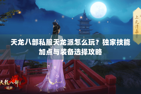 天龙八部私服天龙派怎么玩?独家技能加点与装备选择攻略 天龙八部私服天龙派怎么玩?独家技能加点与装备选择攻略