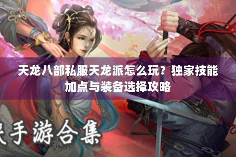 天龙八部私服天龙派怎么玩?独家技能加点与装备选择攻略 天龙八部私服天龙派怎么玩?独家技能加点与装备选择攻略