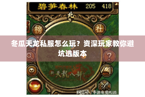 冬瓜天龙私服怎么玩？资深玩家教你避坑选版本