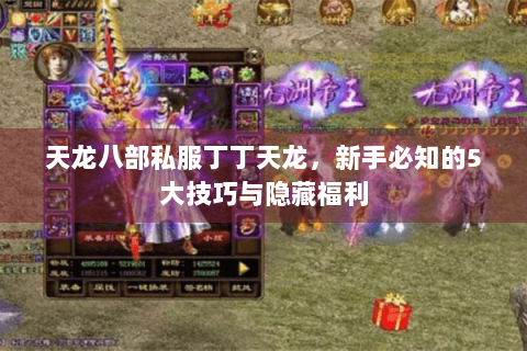 天龙八部私服丁丁天龙，新手必知的5大技巧与隐藏福利