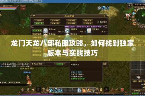 龙门天龙八部私服攻略，如何找到独家版本与实战技巧