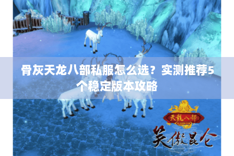 骨灰天龙八部私服怎么选?实测推荐5个稳定版本攻略 骨灰天龙八部私服怎么选?实测推荐5个稳定版本攻略