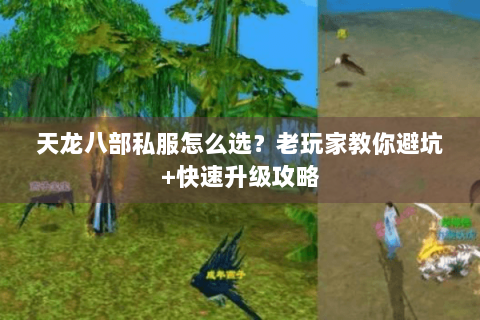 天龙八部私服怎么选？老玩家教你避坑+快速升级攻略