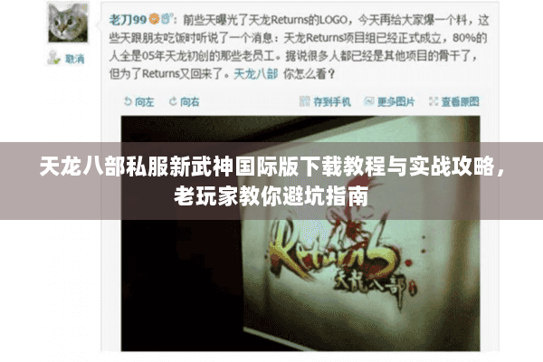 天龙八部私服新武神国际版下载教程与实战攻略，老玩家教你避坑指南