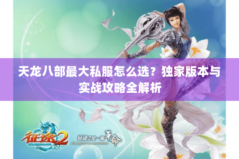 天龙八部最大私服怎么选？独家版本与实战攻略全解析