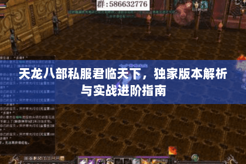 天龙八部私服君临天下，独家版本解析与实战进阶指南