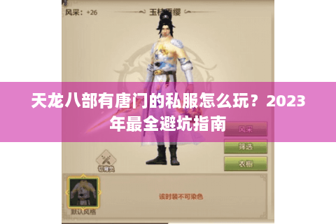天龙八部有唐门的私服怎么玩?2023年最全避坑指南 天龙八部有唐门的私服怎么玩?2023年最全避坑指南