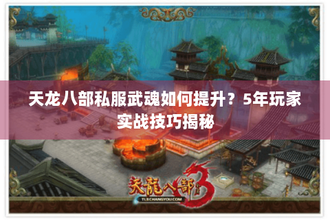 天龙八部私服武魂如何提升?5年玩家实战技巧揭秘 天龙八部私服武魂如何提升?5年玩家实战技巧揭秘