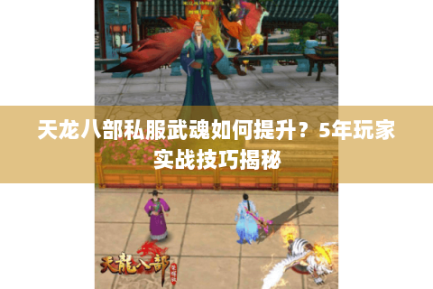 天龙八部私服武魂如何提升?5年玩家实战技巧揭秘 天龙八部私服武魂如何提升?5年玩家实战技巧揭秘