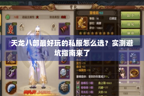 天龙八部最好玩的私服怎么选？实测避坑指南来了