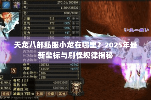 天龙八部私服小龙在哪里？2025年最新坐标与刷怪规律揭秘