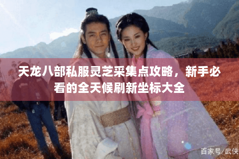 天龙八部私服灵芝采集点攻略，新手必看的全天候刷新坐标大全