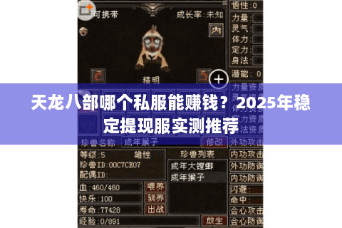 天龙八部哪个私服能赚钱?2025年稳定提现服实测推荐 天龙八部哪个私服能赚钱?2025年稳定提现服实测推荐