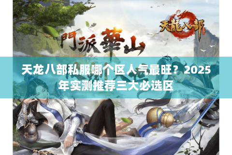 天龙八部私服哪个区人气最旺？2025年实测推荐三大必选区