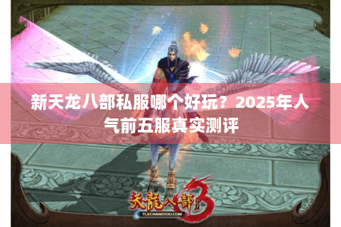 新天龙八部私服哪个好玩？2025年人气前五服真实测评
