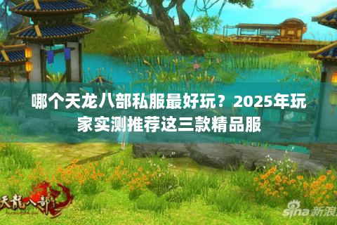 哪个天龙八部私服最好玩？2025年玩家实测推荐这三款精品服